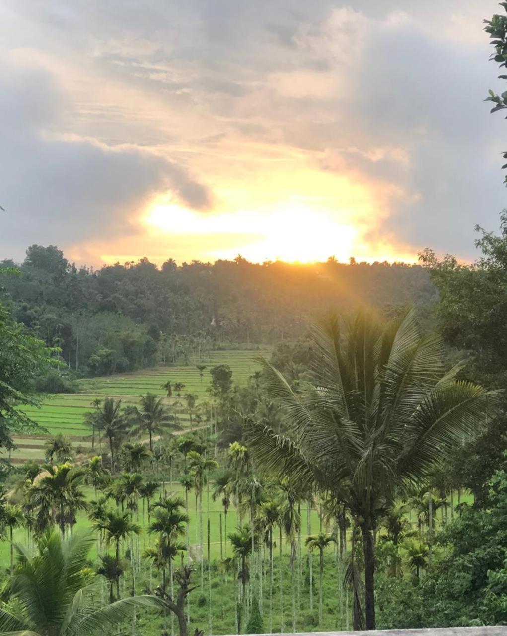 Angels Nest Home Stay 2 Acra Private Plantation Mountain Area Balconey Sunrice View Nearby Ngarhole Wild Life , Tholpetty Wild Life , Pakshipathalam Bird Santuary , Kuruva Island # Thirunelly & Thrissilery Temple Near By Secure Stay Wayanad Kerala Chegāt Eksteriør billede