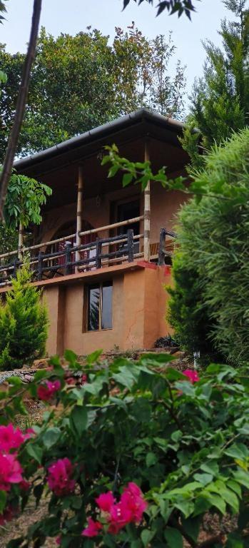 Angels Nest Home Stay 2 Acra Private Plantation Mountain Area Balconey Sunrice View Nearby Ngarhole Wild Life , Tholpetty Wild Life , Pakshipathalam Bird Santuary , Kuruva Island # Thirunelly & Thrissilery Temple Near By Secure Stay Wayanad Kerala Chegāt Eksteriør billede